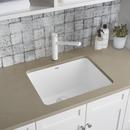 BLANCO White 1-Hole 1-Bowl Drop-In and Undermount Laundry Sink with Rear Center Drain 