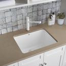 BLANCO White 1-Hole 1-Bowl Drop-In and Undermount Laundry Sink with Rear Center Drain 