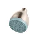 Pfister Brushed Nickel Single Function Spray Showerhead 