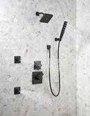 Delta Faucet Matte Black Single Handle Single Function Shower Faucet (Trim Only) 