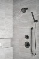 Delta Faucet Matte Black Single Handle Single Function Shower Faucet (Trim Only) 