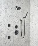 Delta Faucet Matte Black Single Handle Single Function Shower Faucet (Trim Only) 