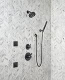 Delta Faucet Matte Black Single Handle Single Function Shower Faucet (Trim Only) 