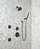 Delta Faucet Matte Black Single Handle Single Function Shower Faucet (Trim Only) 