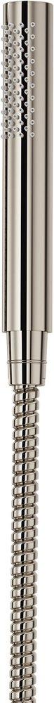 Pfister Polished Nickel Single Function Hand Shower 