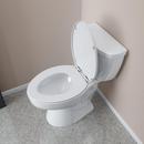 Jones Stephens White Elongated Closed Front Toilet Seat with Cover 