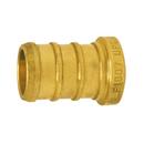 1 in. Brass PEX Test Plug