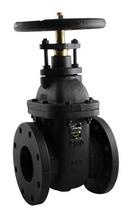 3 in. Cast Iron Full Port Flanged Gate Valve