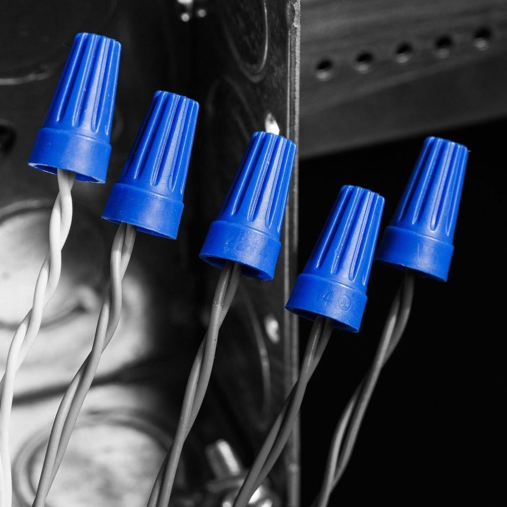 Ideal Industries Blue (Box of 100) Wire Connector 