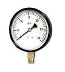 Wal-Rich Black 2-1/2 in. General Purpose Pressure Gauge 