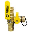 Webstone a brand of NIBCO Forged Brass Full Port FIPS x FIPS x GHT 600# Ball Valve 