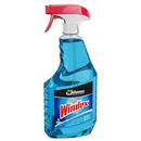Windex Blue Floral Scent Trigger Sprayer Glass Cleaner 