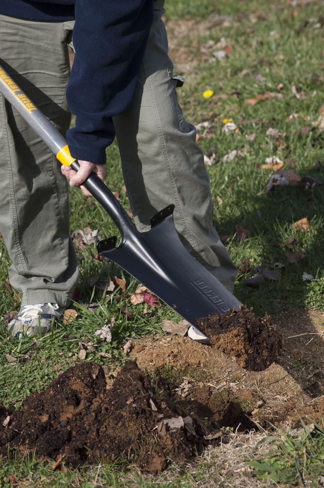 True Temper Drain Spade 