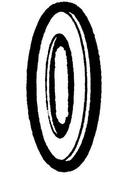 Holyoke Fittings Hose Washer 