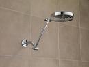 Delta Faucet SpotShield Stainless 1/2 x 5-1/2 in. MIPS Brass Shower Arm 