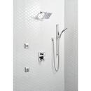 Delta Faucet SpotShield Stainless 1/2 x 5-1/2 in. MIPS Brass Shower Arm 