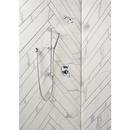 Delta Faucet SpotShield Stainless 1/2 x 5-1/2 in. MIPS Brass Shower Arm 