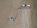 Delta Faucet SpotShield Stainless 1/2 x 5-1/2 in. MIPS Brass Shower Arm 