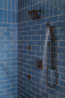 Delta Faucet Matte Black Single Function Body Spray 