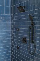 Delta Faucet Matte Black Single Function Body Spray 