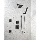 Delta Faucet Matte Black Single Function Body Spray 