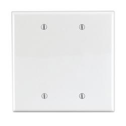 4-7/8 in. 2-Gang Wall Plate in White