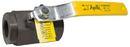 Apollo Valves Black Carbon Steel Full Port FNPT 3000# Ball Valve 