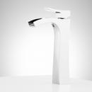 Signature Hardware Polished Chrome Single Handle Monoblock Bathroom Sink Faucet 