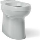 KOHLER Ice Grey 1.28 gpf Elongated Floor Mount Two Piece Toilet Bowl 