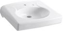 21-47/50 x 19-3/4 in. Oval Wall Mount Bathroom Sink in White