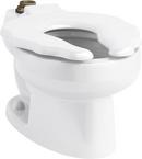 Elongated Toilet Bowl in White