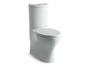 Two Piece Toilet in Ice Grey