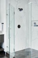 Moen Matte Black Single Handle Shower Faucet 