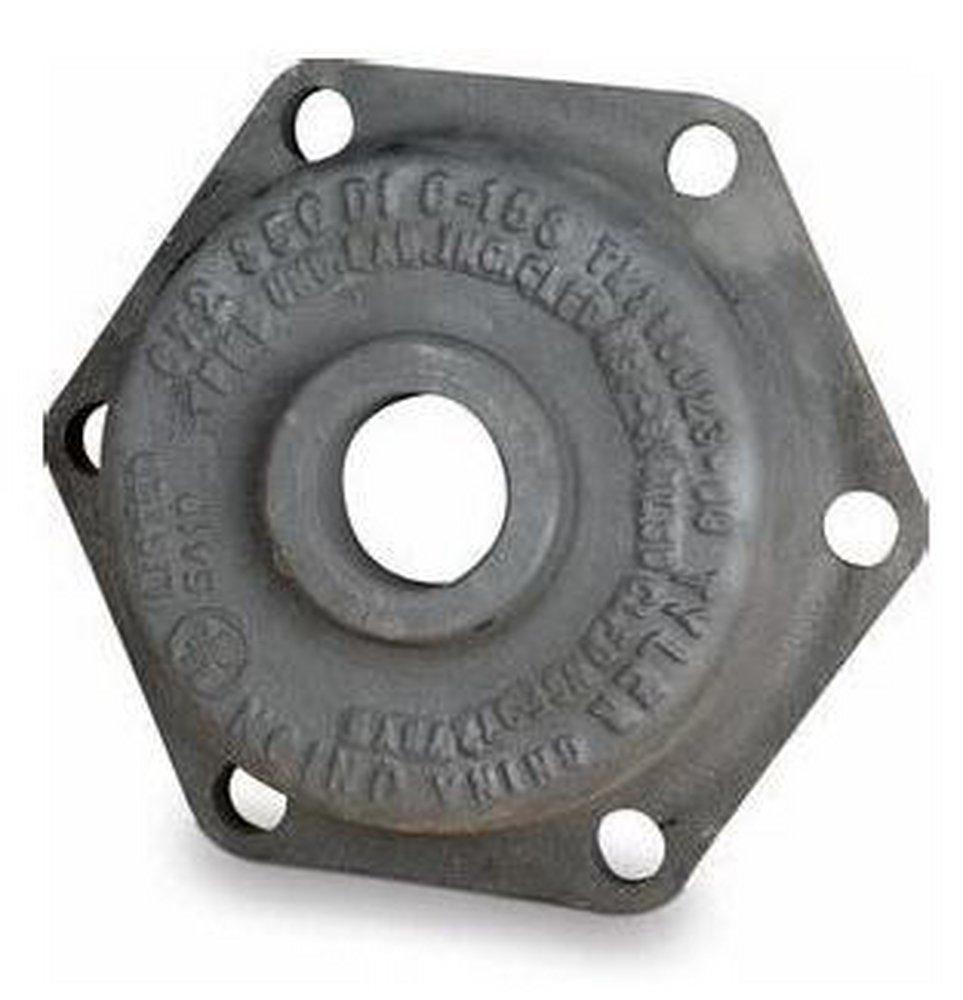 D and M Coatings 2 in. Mechanical Joint Ductile Iron C153 Short Body Tapped Cap with Permox CTF&trade; Lined 