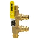 Webstone a brand of NIBCO Forged Brass Press Purge Tee 