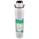 Watts Filtration System 