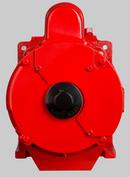 Red Lion Red RLSP-200-BI 