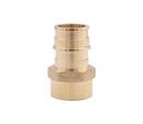 Legend Valve & Fitting Brass PEX Expansion x FPT Adapter 