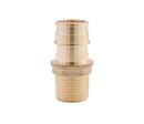1 in. Brass PEX Expansion x 1 in. MPT Adapter