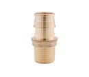 Legend Valve & Fitting Brass PEX Expansion x MPT Adapter 