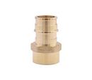 1 in. Brass PEX Expansion x 1 in. FPT Adapter