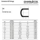 White PVC DWV 2-Piece Combination Wye 