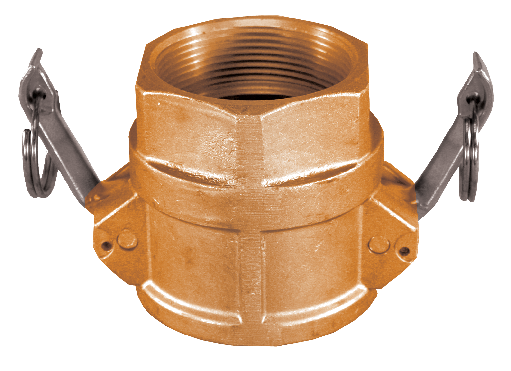 FNW&reg; Brass Female Coupler x FPT 