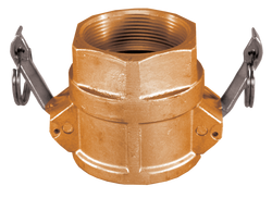 3 in. Brass Female Coupler x FPT