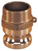 1-1/2 in. Brass Male Adapter x MPT