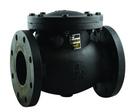 3 in. Cast Iron Flanged Check Valve