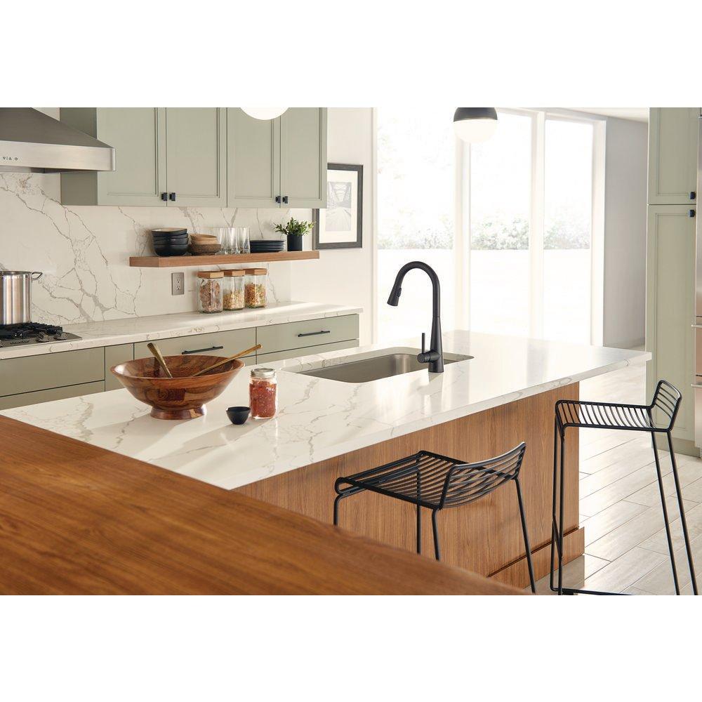 Moen Matte Black Single Handle Pull Down Kitchen Faucet 