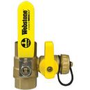 1/2 in. Forged Brass Full Port FIPS x FIPS x GHT 600# Ball Valve