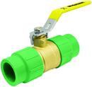 Webstone a brand of NIBCO Forged Brass Full Port Female PP-R Metric Socket 600# Ball Valve