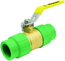 Webstone a brand of NIBCO Blue Forged Brass Full Port Female PP-R Metric Socket 600# Ball Valve 